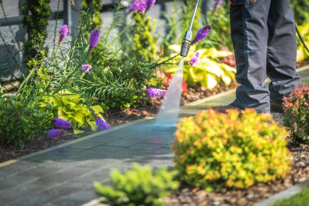  Goulds, FL Pressure Washing Pros